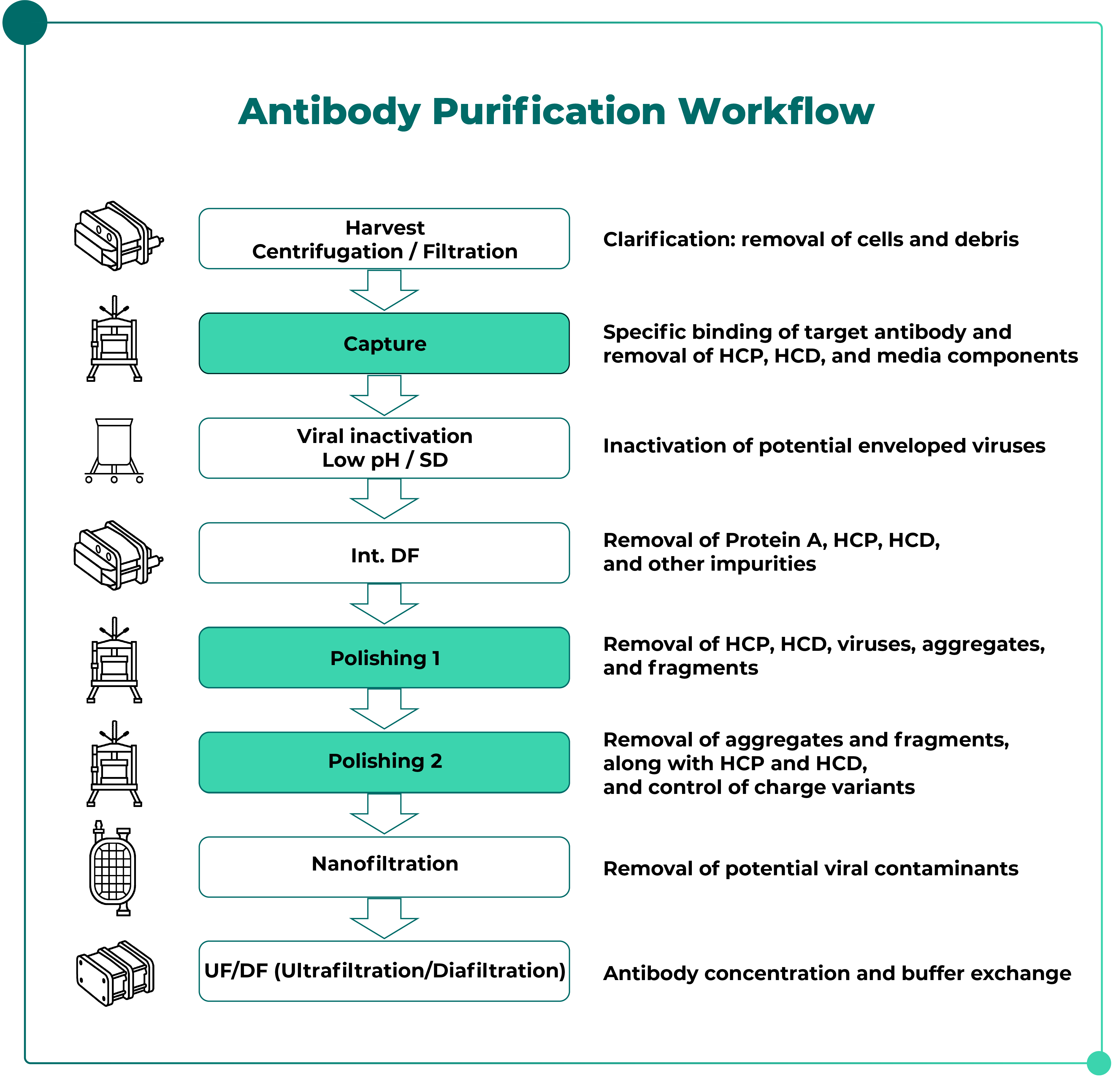Introduction to Antibody Purification-pic-04